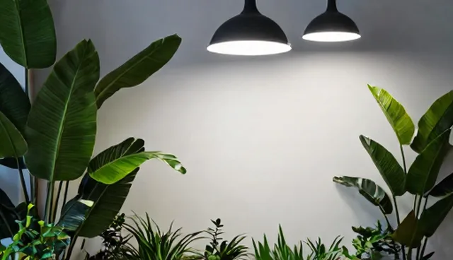 官网建设中SEO优化的两个实际环节分析